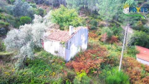 Moradia para Venda em Sertã