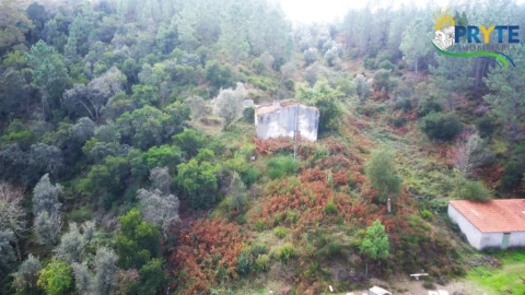 Moradia para Venda em Sertã