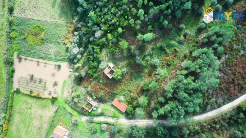 Moradia para Venda em Sertã