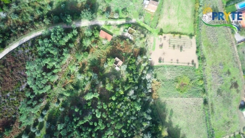 Moradia para Venda em Sertã