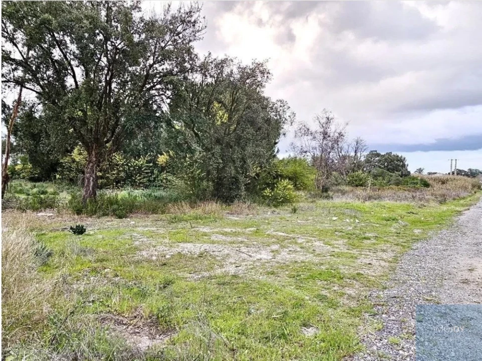 Terreno para Venda em Pegões Foto 2