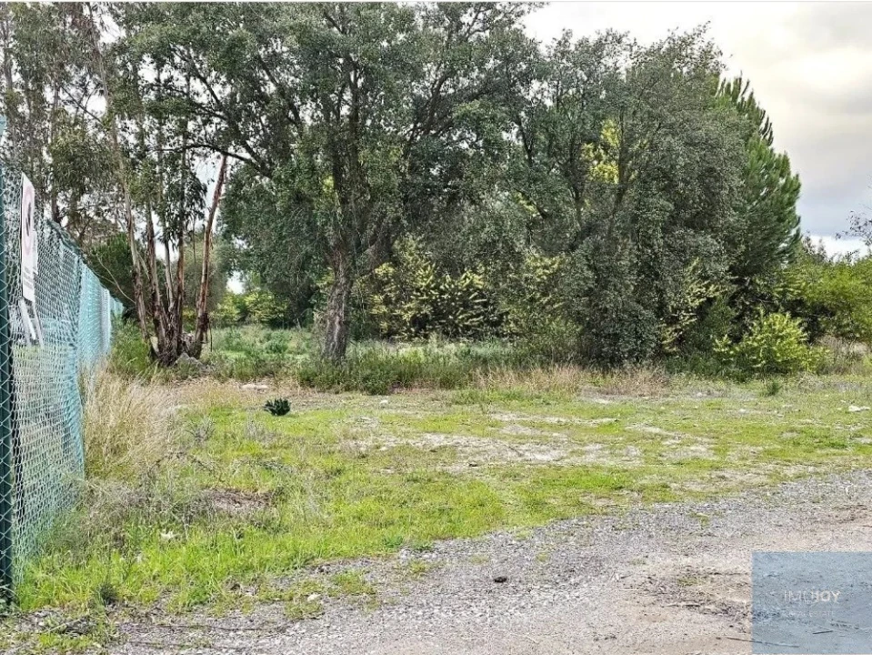 Terreno para Venda em Pegões Foto 3