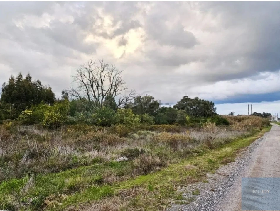 Terreno para Venda em Pegões Foto 4