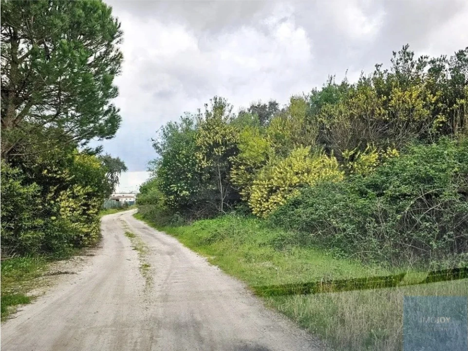 Terreno para Venda em Pegões Foto 7