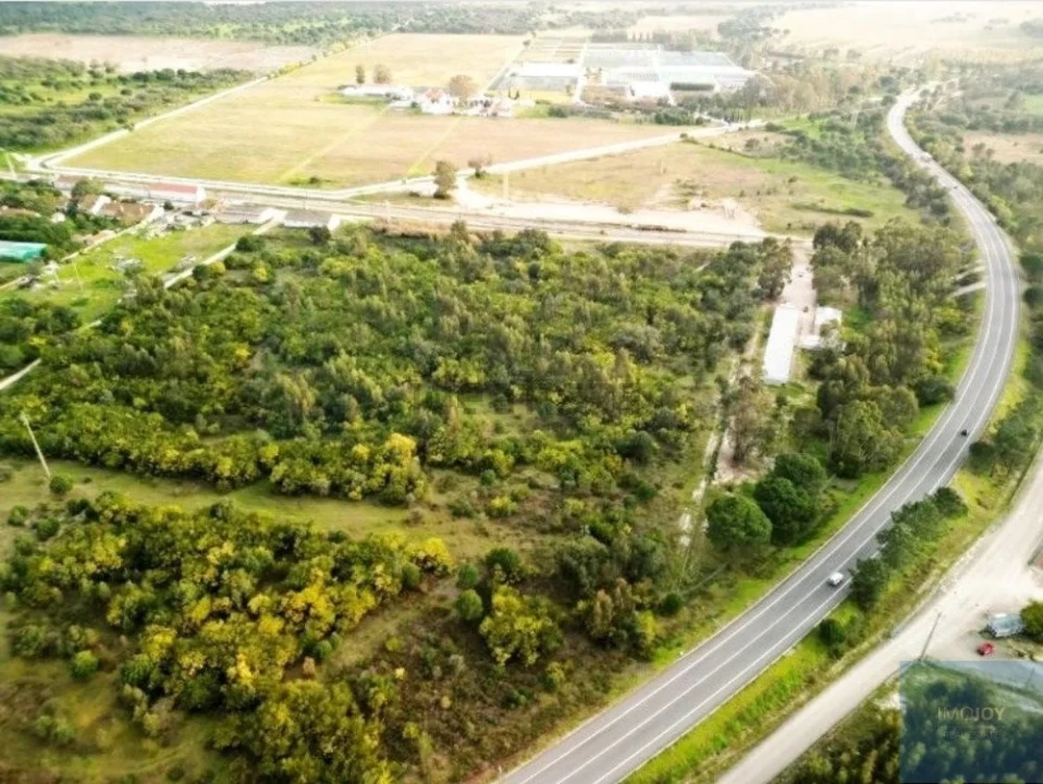 Terreno para Venda em Pegões Foto 23