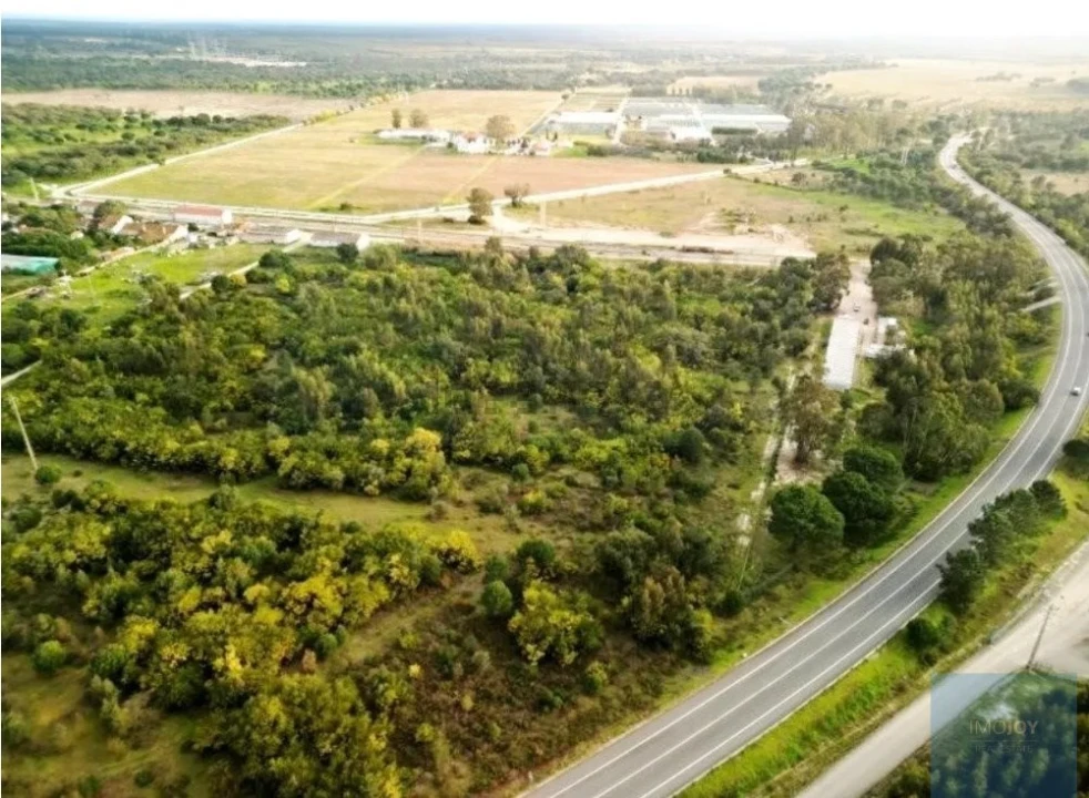 Terreno para Venda em Pegões Foto 24