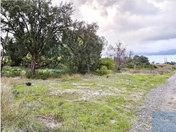 Terreno para Venda em Pegões