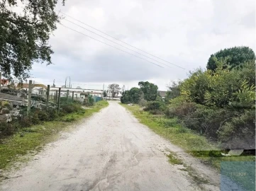Terreno para Venda em Pegões