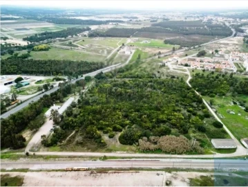 Terreno para Venda em Pegões