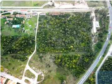 Terreno para Venda em Pegões