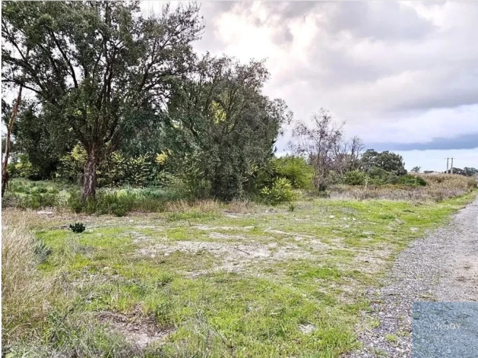 Terreno para Venda em Pegões Foto 2