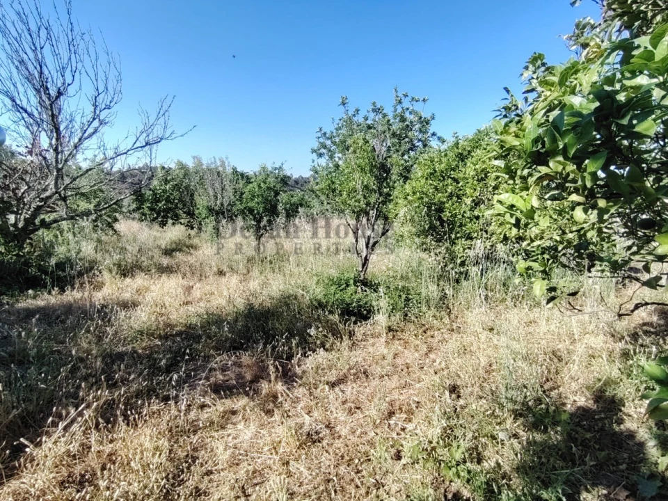 Moradia T3 para Venda em São Brás de Alportel Foto 17