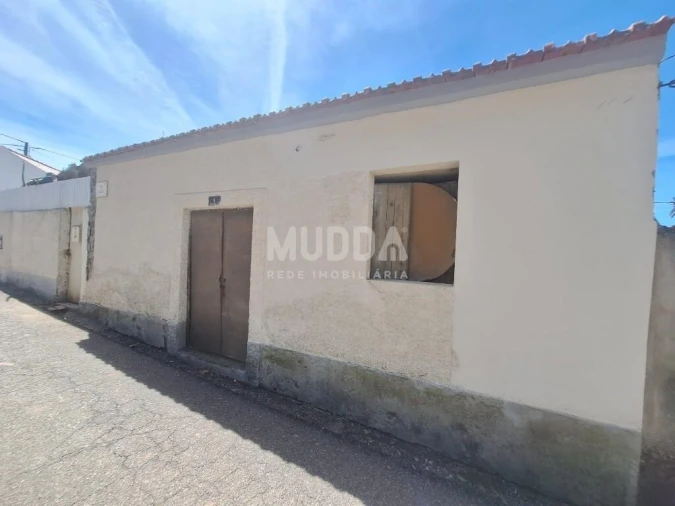 Armazém para Venda em Peral Foto 3