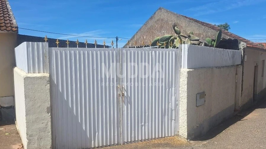 Armazém para Venda em Peral