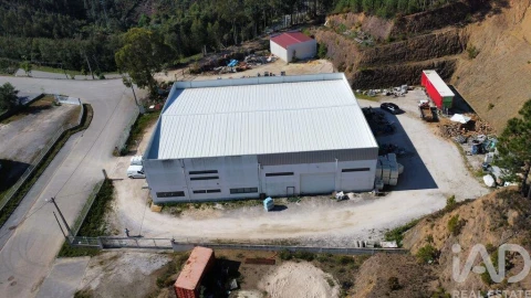 Loja para Venda em Alvares