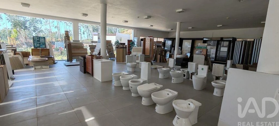 Loja para Venda em Alvares Foto 10