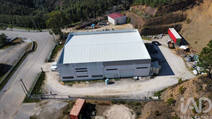 Loja para Venda em Alvares Foto 2