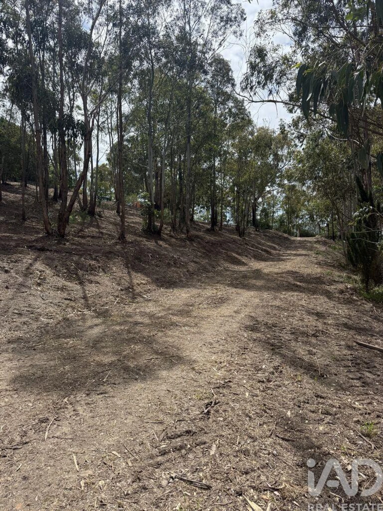 Terreno para Venda em Sesimbra (Castelo) Foto 7