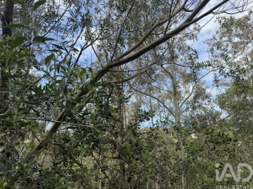 Terreno para Venda em Sesimbra (Castelo)