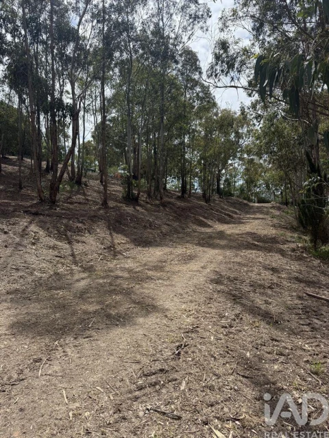 Terreno para Venda em Sesimbra (Castelo)