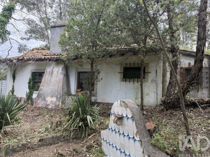 Terreno para Venda em Sesimbra (Castelo) Foto 4