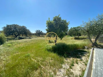 Moradia T3 para Venda em São Jose da Lamarosa