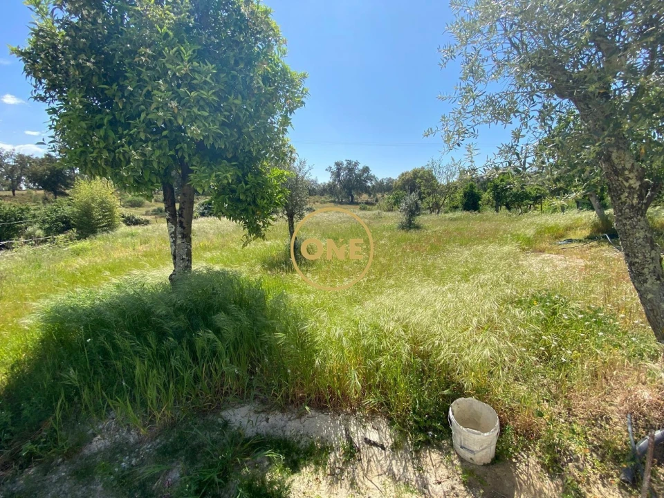 Moradia T3 para Venda em São Jose da Lamarosa Foto 37