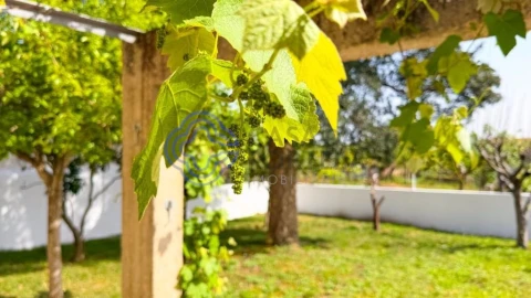 Moradia T3 para Venda em Avanca