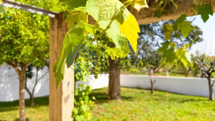 Moradia T3 para Venda em Avanca Foto 26