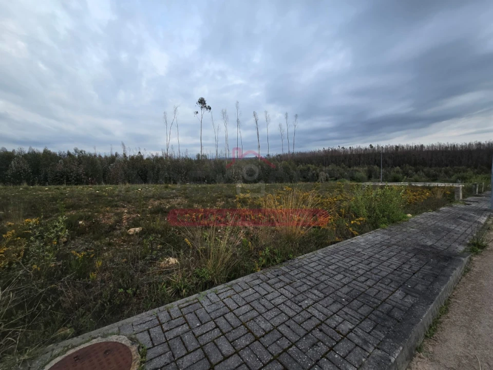 Terreno para Venda em Valongo do Vouga Foto 3