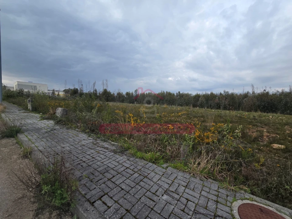 Terreno para Venda em Valongo do Vouga Foto 5