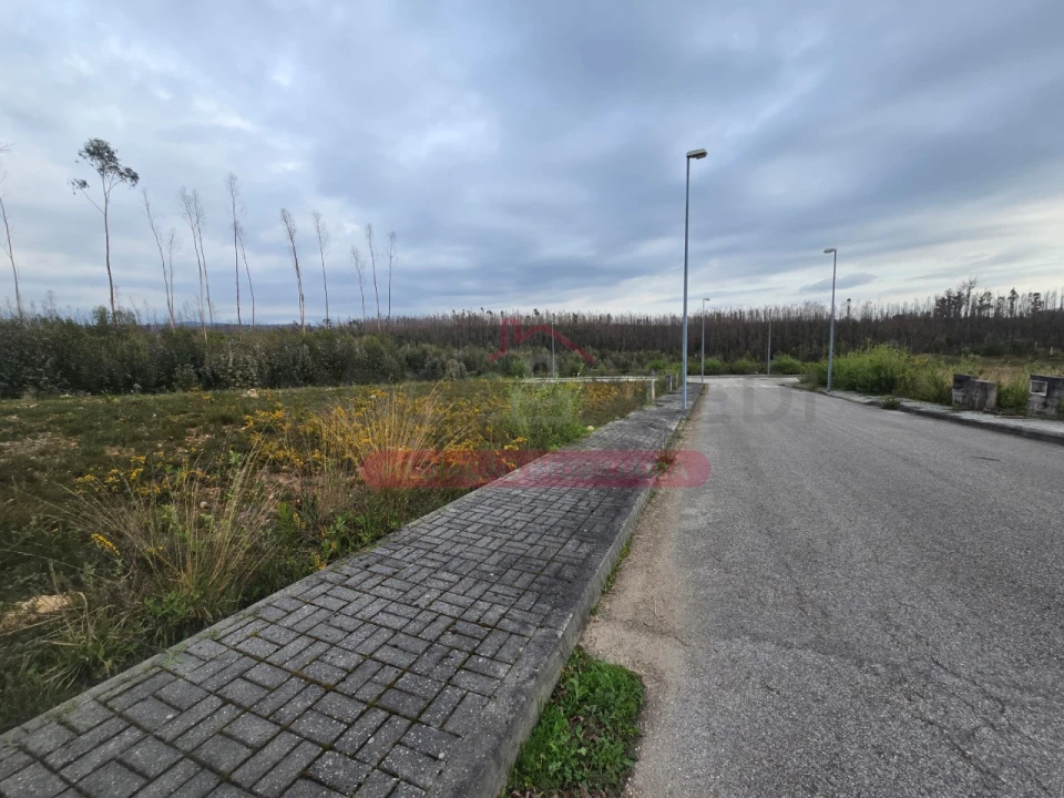 Terreno para Venda em Valongo do Vouga Foto 7