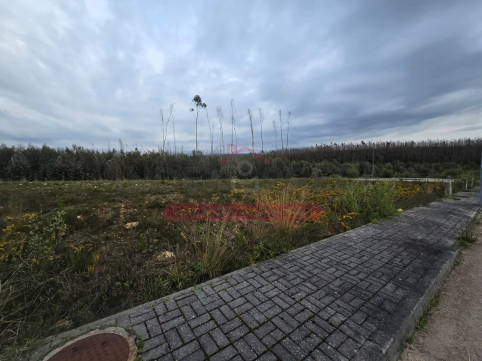 Terreno para Venda em Valongo do Vouga Foto 6