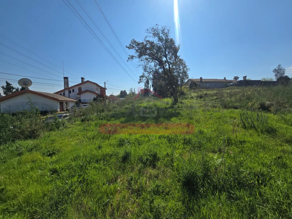 Terreno para Venda em Recardães e Espinhel Foto 1