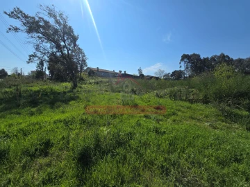 Terreno para Venda em Recardães e Espinhel