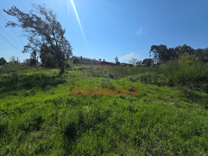 Terreno para Venda em Recardães e Espinhel Foto 3