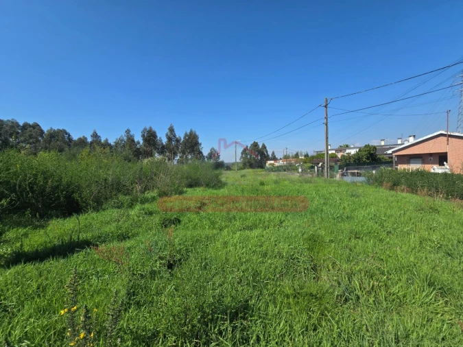Terreno para Venda em Recardães e Espinhel Foto 6