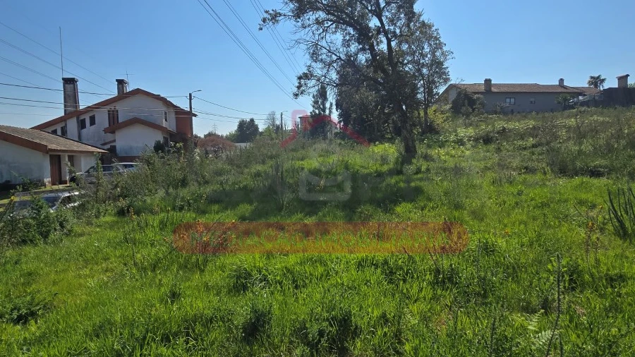 Terreno para Venda em Recardães e Espinhel