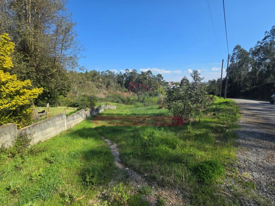 Terreno para Venda em Águeda e Borralha Foto 6
