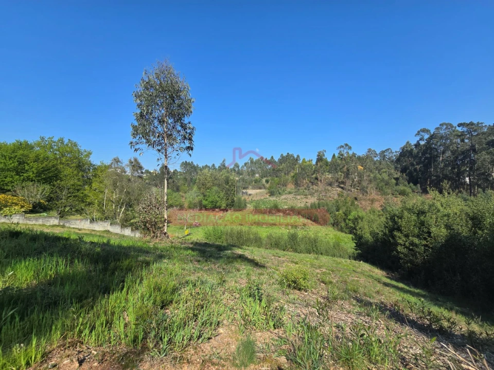 Terreno para Venda em Águeda e Borralha Foto 1