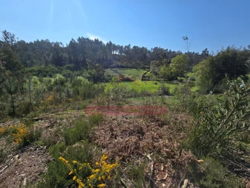 Terreno para Venda em Águeda e Borralha