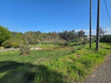 Terreno para Venda em Águeda e Borralha