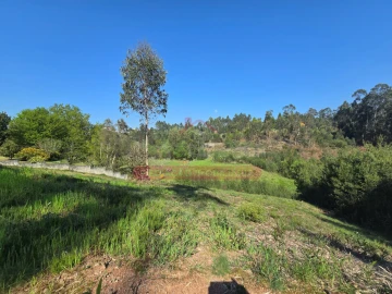 Terreno para Venda em Águeda e Borralha