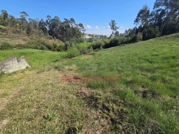 Terreno para Venda em Águeda e Borralha