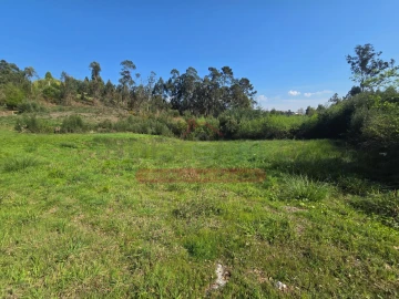 Terreno para Venda em Águeda e Borralha