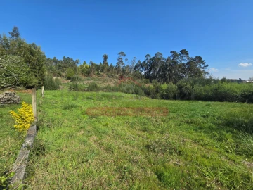 Terreno para Venda em Águeda e Borralha