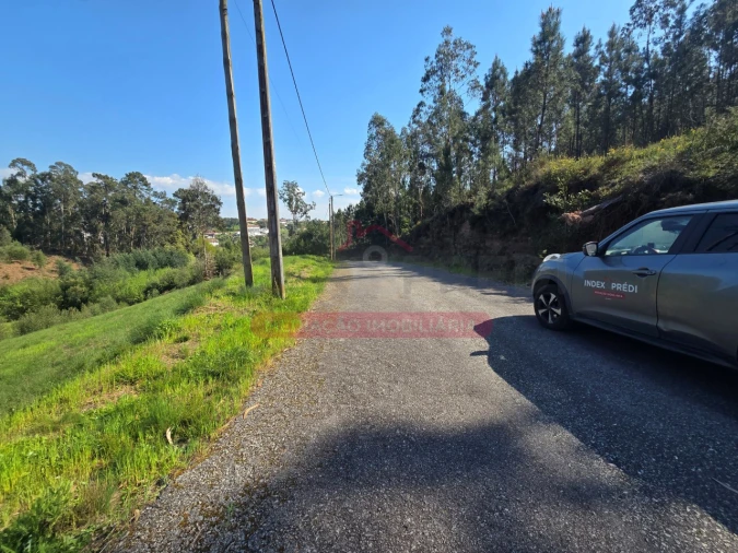 Terreno para Venda em Águeda e Borralha Foto 2