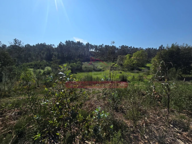 Terreno para Venda em Águeda e Borralha Foto 3
