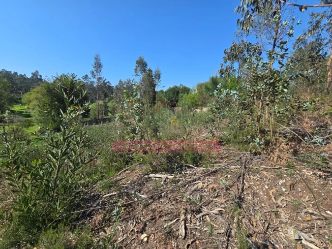 Terreno para Venda em Águeda e Borralha Foto 7