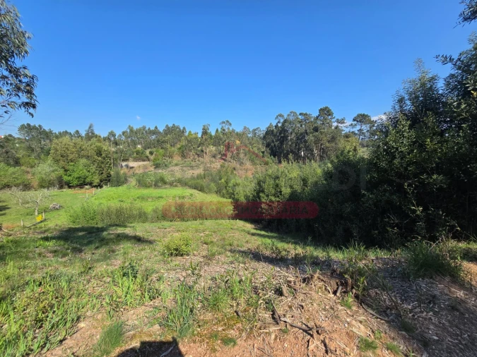 Terreno para Venda em Águeda e Borralha Foto 10
